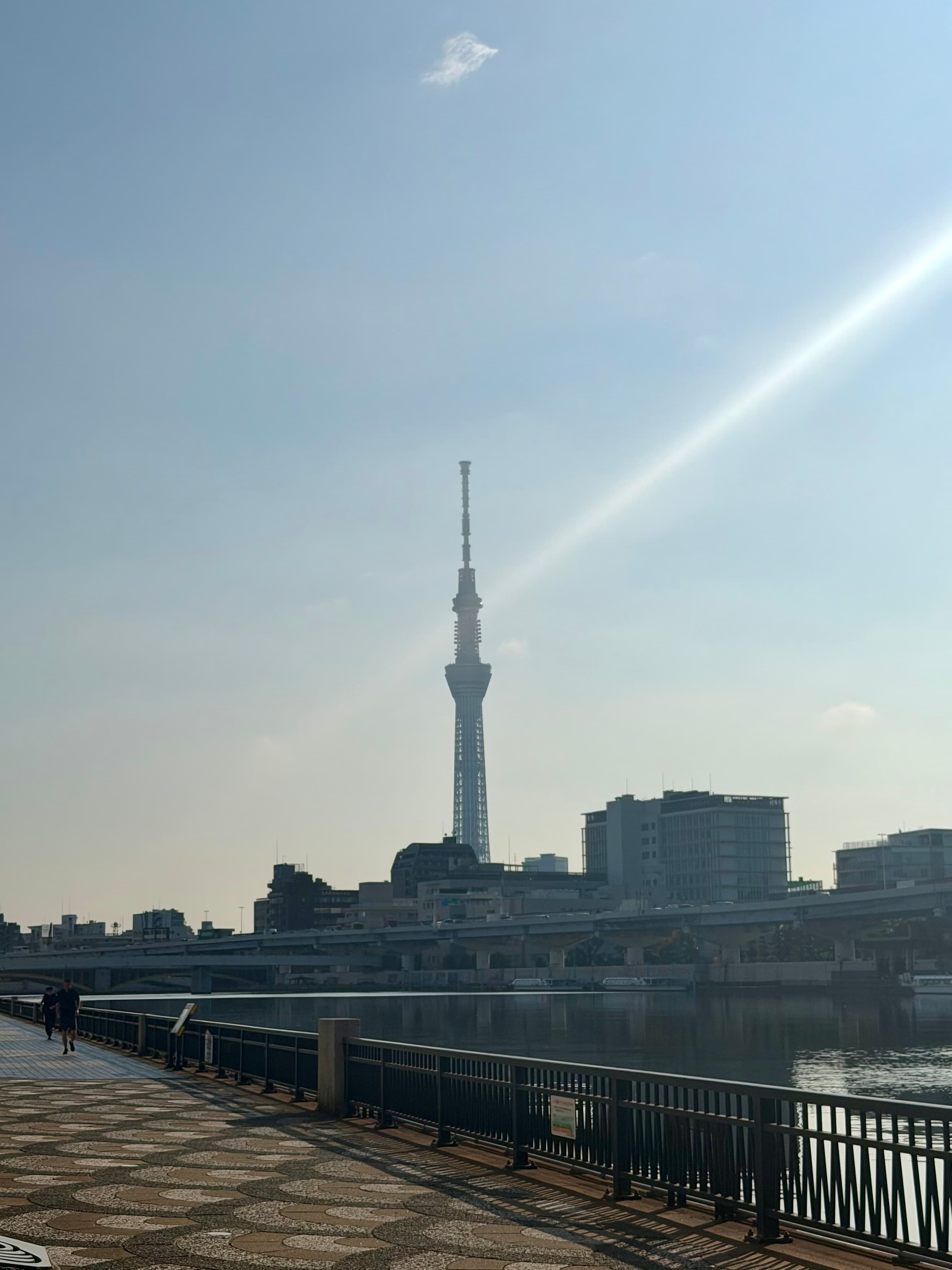 Sumida River Course running course